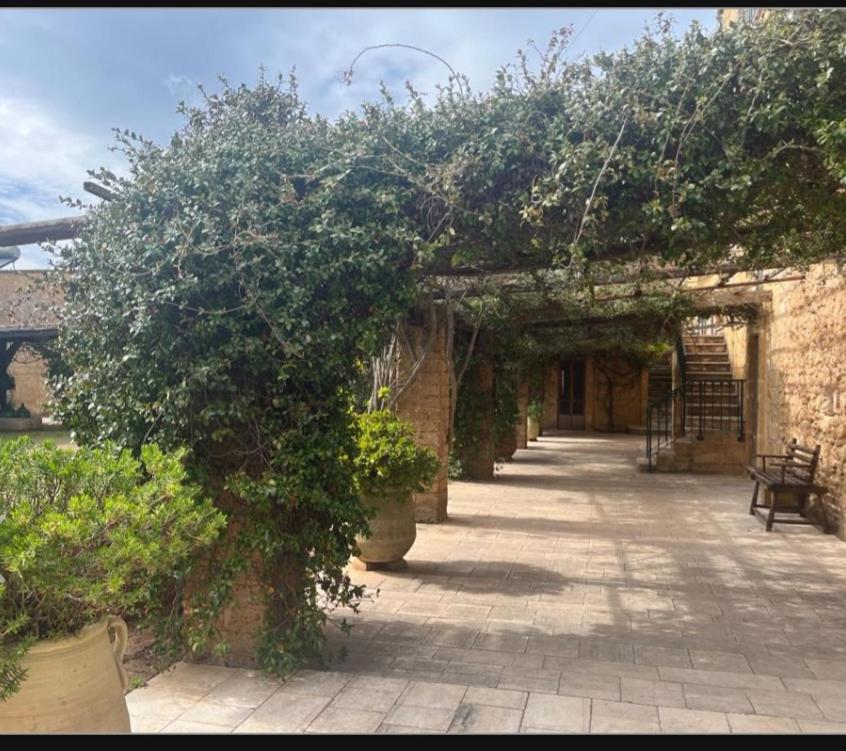 Masseria Sotto Le Stelle Provenzani Casalabate Ngoại thất bức ảnh